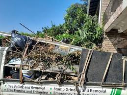 Best Basement Cleanout  in Jerseyvle, IL